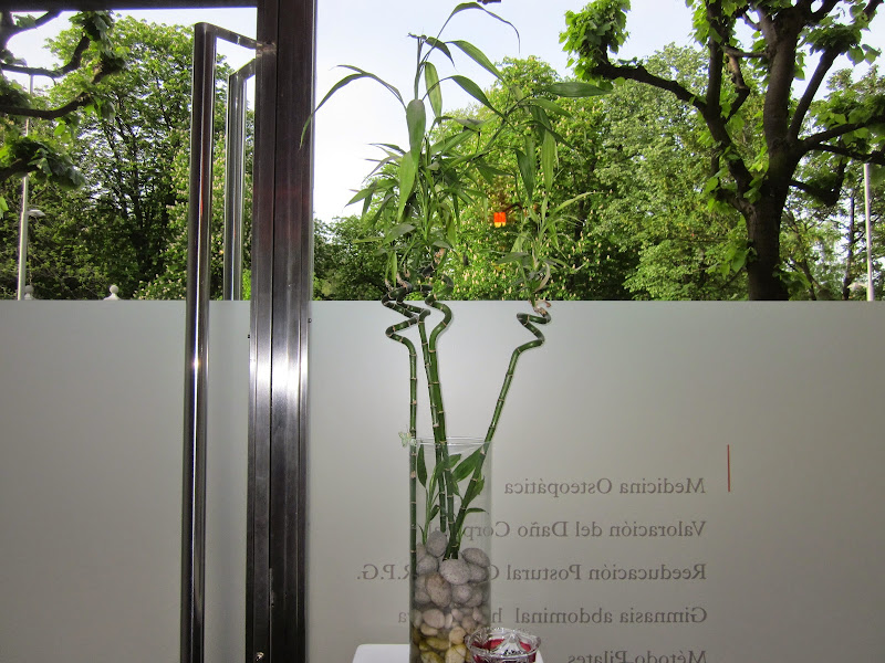 Clínica San Mamés Medicina Integrativa