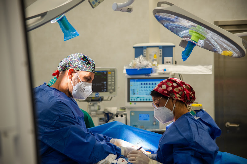 Dra. María Isabel Ruiz Ruiz