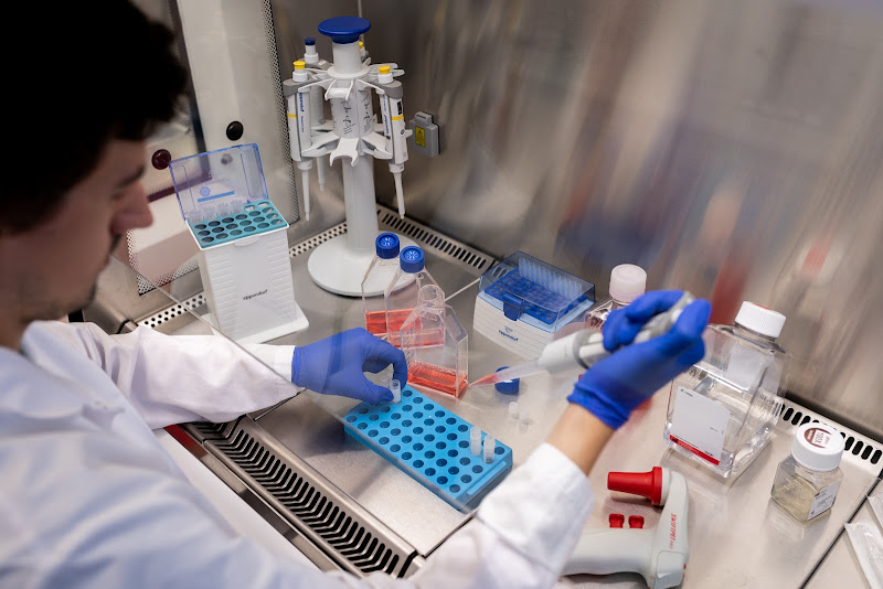 SEVIBE CELLS, Banco de Células Madre del Cordón Umbilical